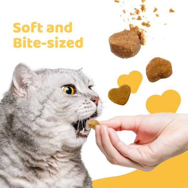 iPaw - Soft Cat Treats for Indoor Cats, Healthy Kitten Snacks with Probiotics, Grain Free, Easy to Digest (Chicken and Cranberry)