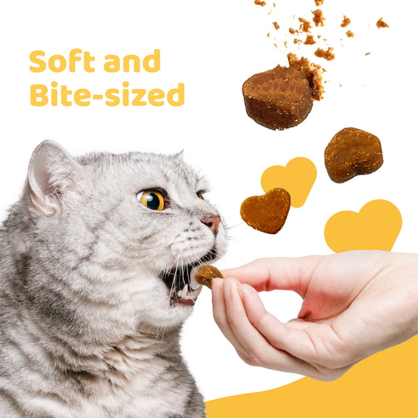 iPaw- Soft Cat Treats for Indoor Cats, Healthy Kitten Snacks with Probiotics, Grain Free, Easy to Digest (Chicken and Tuna)