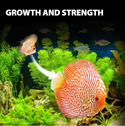 GOOD PARTNER - Purify Series for Discus Fish Food