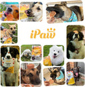 iPaw- Dog Treats for Puppy Training, All Natural Human Grade Soft Dog Treat with Probiotics, Hypoallergenic, Easy to Digest (Beef)