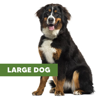 LARGE DOG