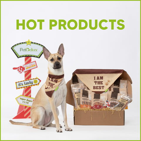 HOT PRODUCTS