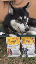 iPaw - Chicken Recipe Bites