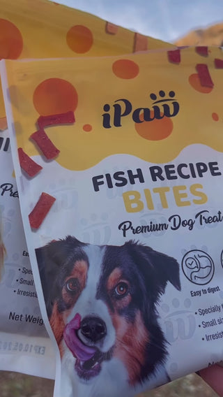 iPaw - Fish Recipe Bites