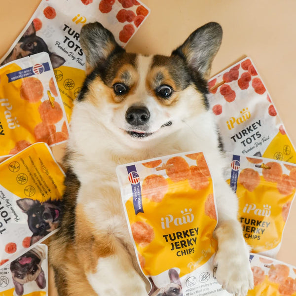 iPaw - Turkey Jerky Chips