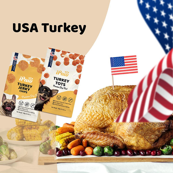 iPaw - Turkey Jerky Chips